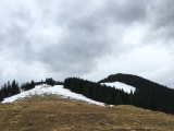 Nur eine Bodenmarkierung zeigt den Gipfel (Foto gespeichert zu Ausgangspunkt Scheibling),#