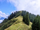 Weg vom <a href=/gipfel/ditzel-7338/>Ditzel</a> zum Hochjoch (Foto gespeichert zu <a href=/wanderweg/ditzel-hochjoch-5399/>Weg</a>),#