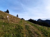 Schönbergalm (Foto gespeichert zu Ausgangspunkt Schönbergalm),#