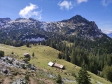 Sebenalpe (Foto gespeichert zu Ziel Sebenalpe),#