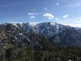 Blick auf das Wildalphorn (Foto gespeichert zu <a href=/gipfel/seekopf-22289/>Seekopf</a>),#