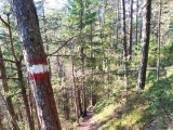 Forststraßen-Alternative,#