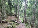 Unten schmalerer Pfad,#