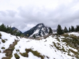 Sonntagshorn