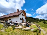 Käsebrot und Kuchen auf der Staffelalm (Foto gespeichert zu Ausgangspunkt Staffelalm),#