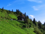 <b>Staufner Haus</b> ,#
