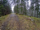 Steckenberg