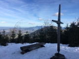 Sternplatte