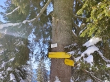 Stolzenberg