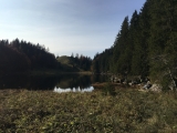 Taubensee