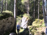 Taubensee