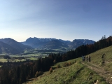 Kurz vor der Rinderbrachalm (Foto gespeichert zu <a href=/wanderweg/parkplatz-schafflerhof-rinderbrachalm-1875/>Weg</a>),#