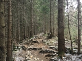 Über den Plattberggrat,#