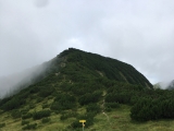 Geradeaus zum Frechjoch (Foto gespeichert zu <a href=/wanderweg/veitsberg-frechjoch-4307/>Weg</a>),#