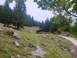 An der unteren Hölzlalm (Foto gespeichert zu Ausgangspunkt Untere Hölzlalm),#