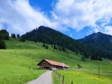 Unterlauchalpe (Foto gespeichert zu Ausgangspunkt Unterlauchalpe),#