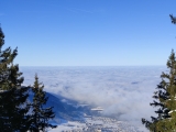 Unternberg