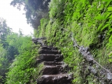 Auf der <b>Vereda do Larano</b> (Foto gespeichert zu <a href=/wanderweg/caminho-do-cabo-de-larano-vereda-do-larano-24637/>Weg</a>),#