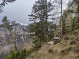 Wachterlhorn