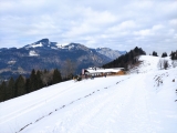 Wildbichlalm mit <a href=/gipfel/spitzstein-906/>Spitzstein</a> (Foto gespeichert zu Ausgangspunkt Wildbichl Alm),#