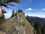 Zellerwand