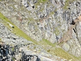 Zum <a href=/freizeit/zinkwandstollen-west-lungau-56118/>Zinkwandstollen West</a> (oben rechts),#