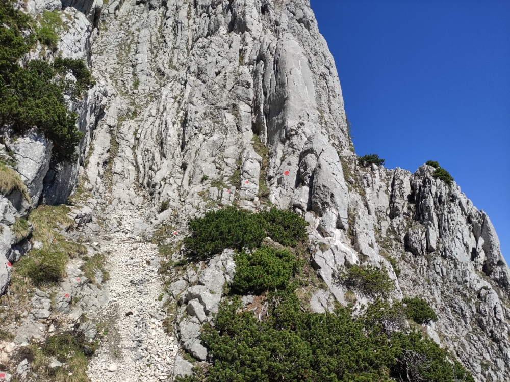 Klettersteig Feuerkogel-Abstieg über Kaiserweg: Klettersteig Feuerkogel-Abstieg über Kaiserweg: Einstieg Bildmitte (Aberfeldkogel HTL Wels Klettersteig Einstieg)