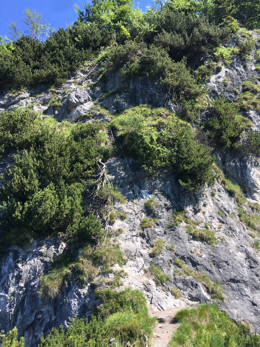 Klettersteig Ackerlspitze von St.Johann: Am Ende über die Leitern