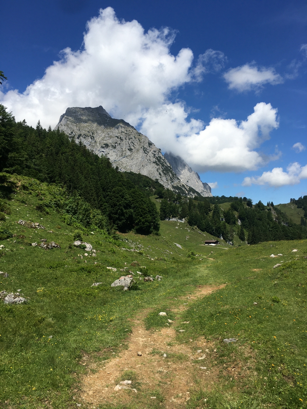 Klettersteig Ackerlspitze von St.Johann: Über saftige Wiesen zur Einödalm mit Maukspitze im Hintergrunf