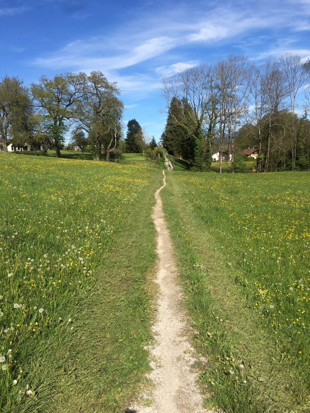 Wanderung Ähndl Restaurant: Schöne Spazierwege
