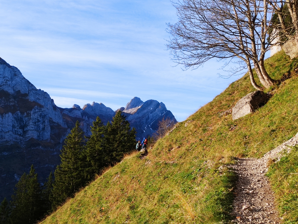 Wanderung Aescher: Schöner Steig an der mächtigen Felswand