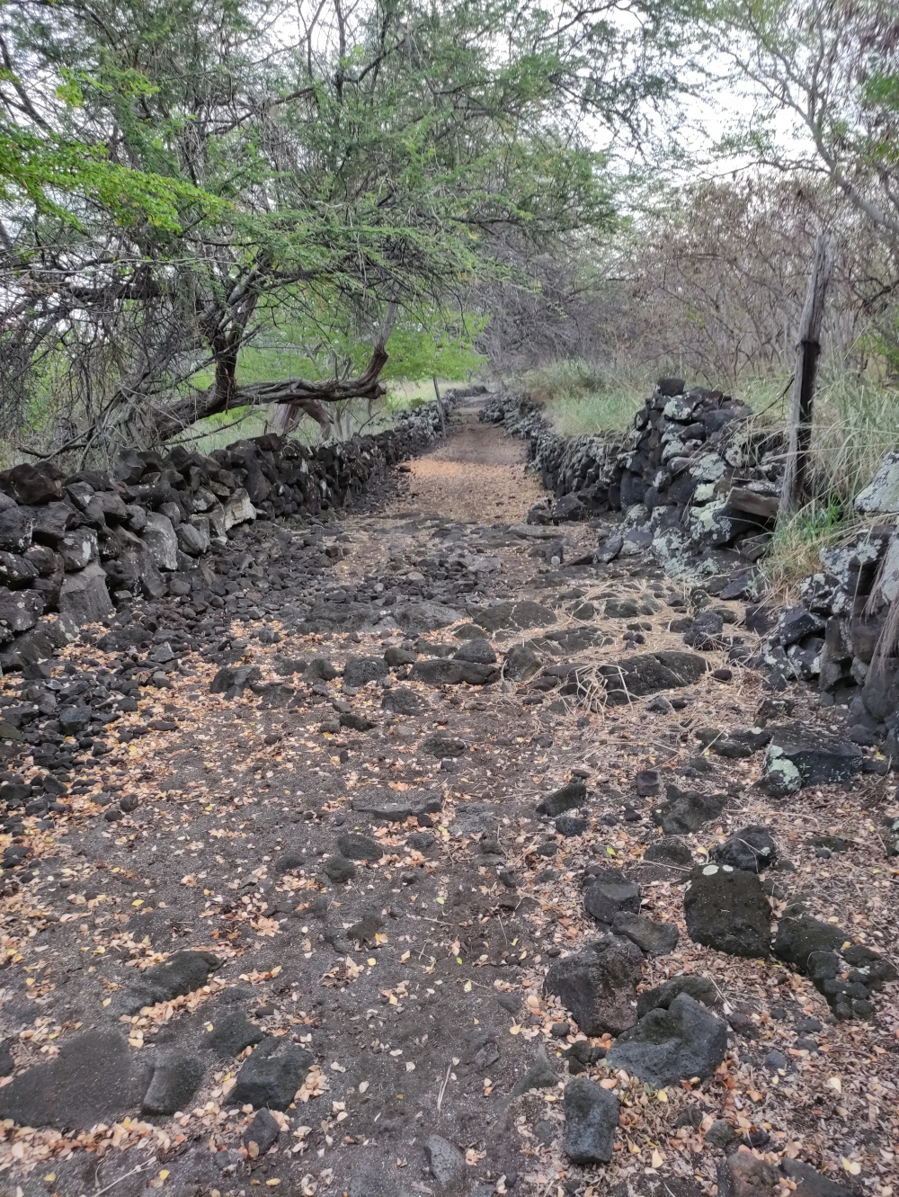 Wanderung Alahaka Ramp: Der 1871 Trail
