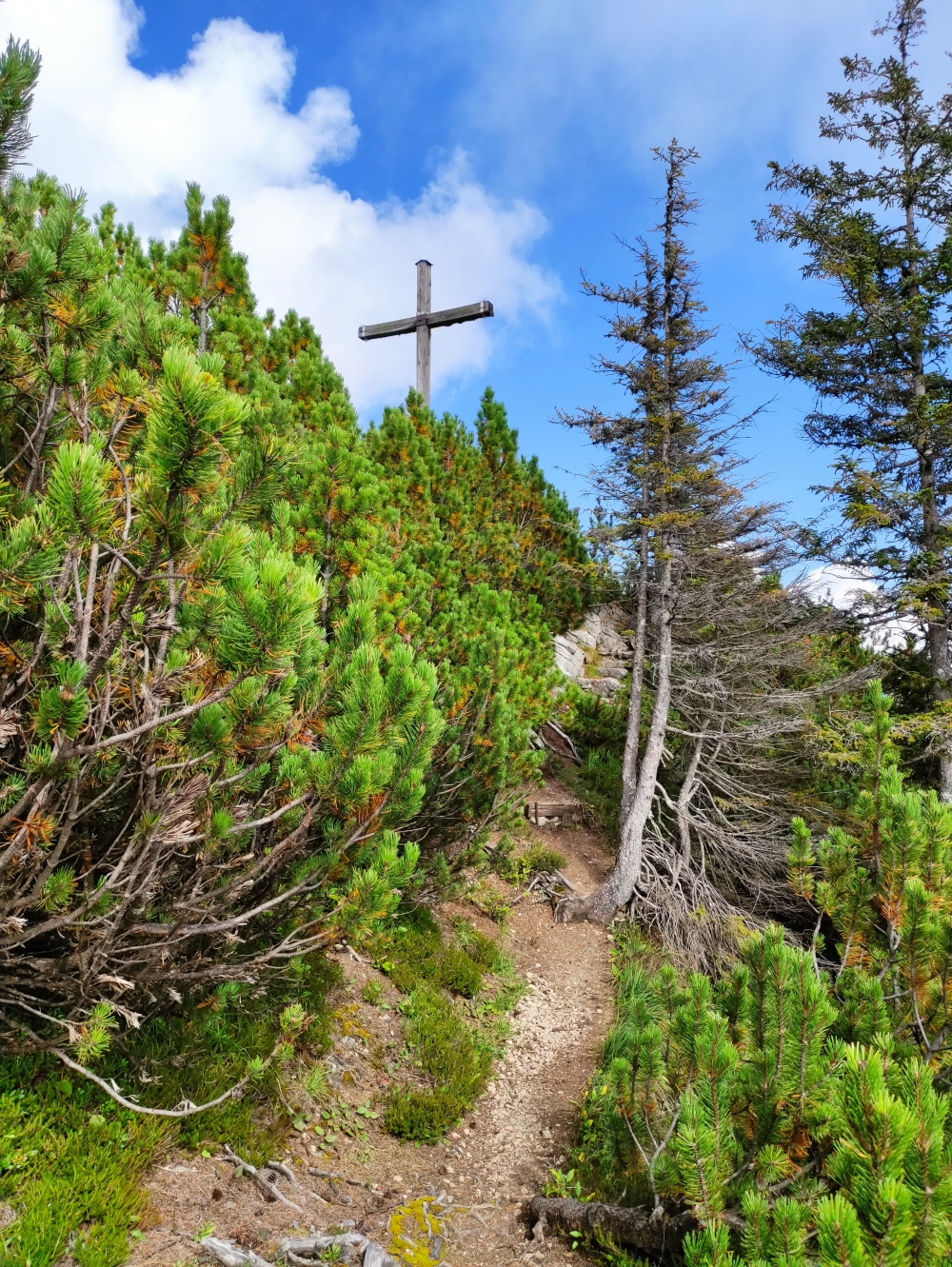 Wanderung Gaichtspitze: Wanderung Gaichtspitze: Am Gipfelkreuz (Albengipfel)