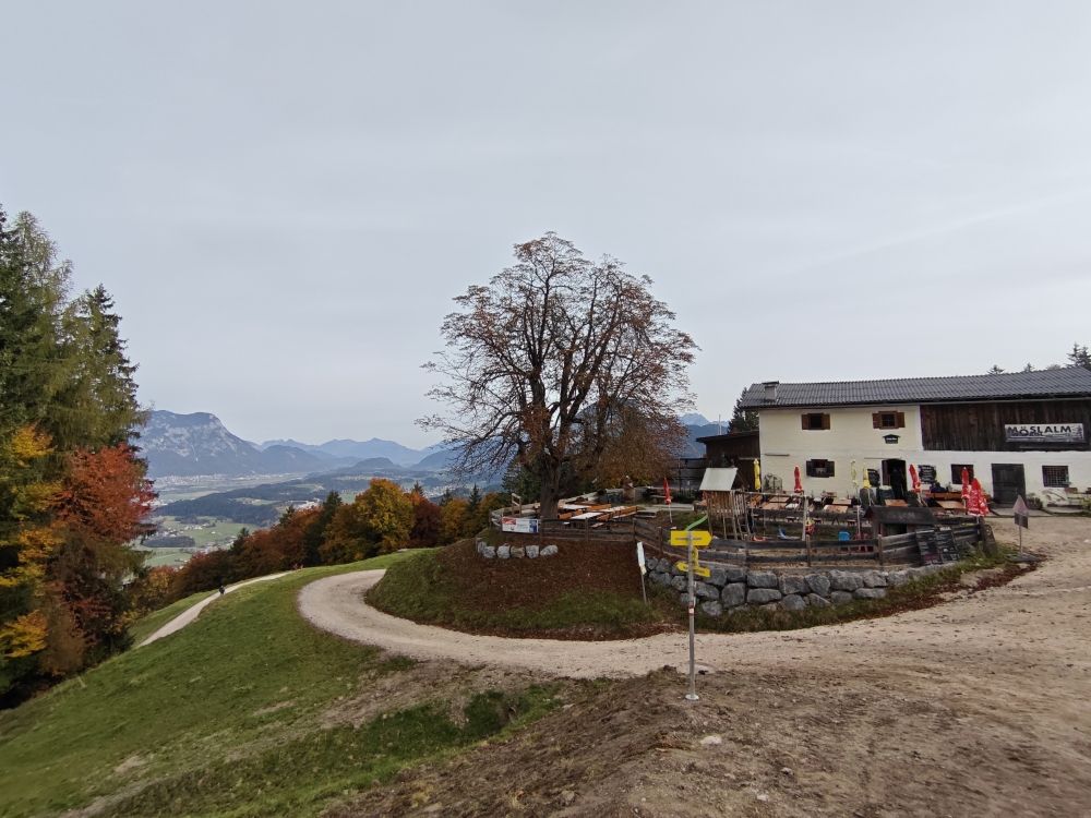 Wanderung Möslalmkreuz: Wanderung Möslalmkreuz: Möslalm mit Auffahrt für Radfahrer (Rodelbahn im Winter) (Almgasthof Möslalm)