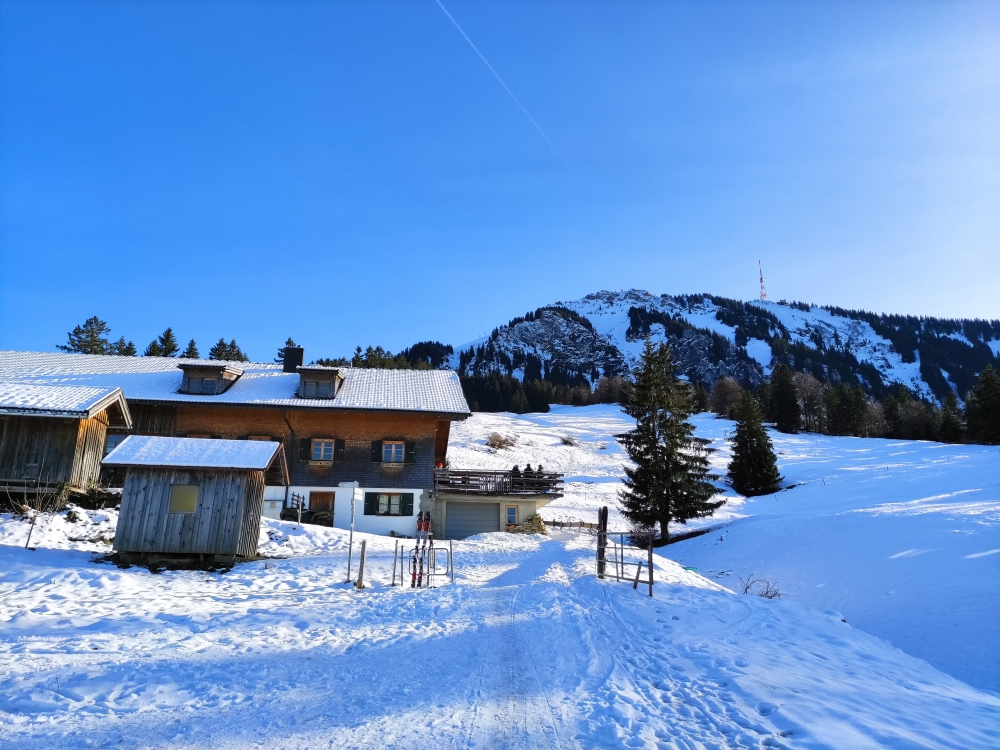 Wanderung Grünten von Kranzegg: Wanderung Grünten von Kranzegg: Alpe Kammeregg