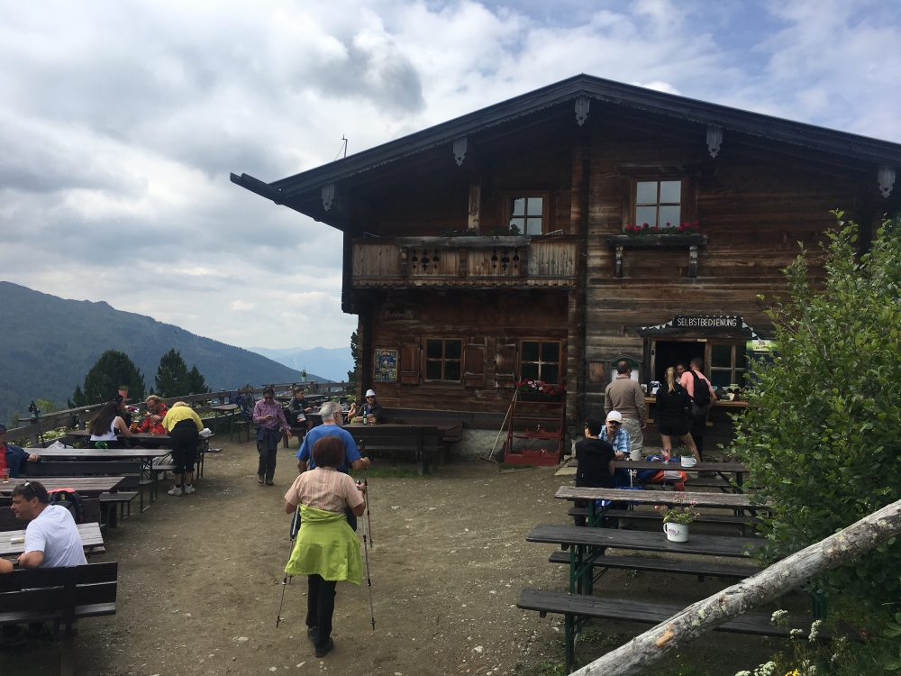 Wanderung Patscherkofel: Wanderung Patscherkofel: Rastmöglichkeit auf dem Zirbenweg (Alpengasthof Boscheben)