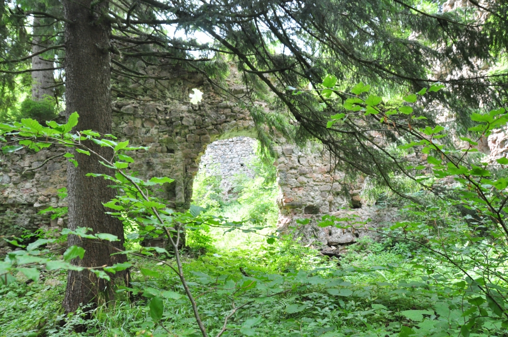 Wanderung Alpspitz: Wanderung Alpspitz: Die Ruine Nesselburg