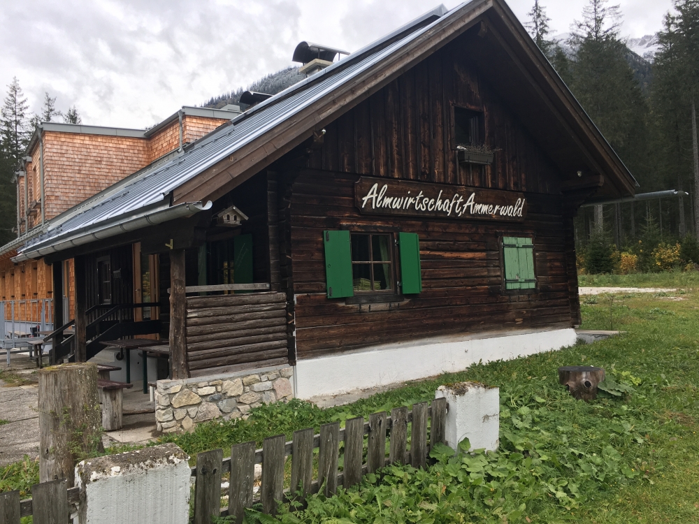 Wanderung Hochplatte: Wanderung Hochplatte: Almwirtschaft Ammerwald