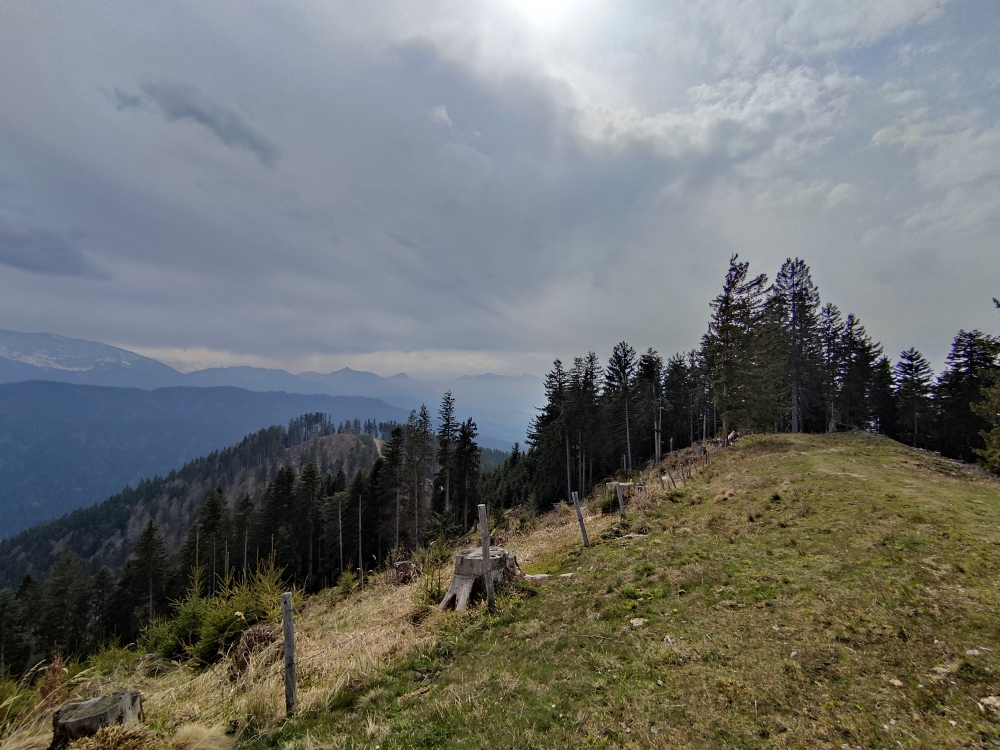 Angerlkopf: Wiesen auf dem Angerlkopf