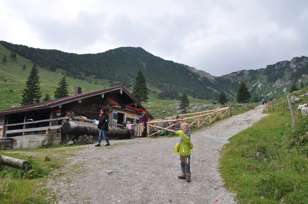 Wanderung Brecherspitz Nord: Wanderung Brecherspitz Nord: Ankel-Alm (Ankelalm)