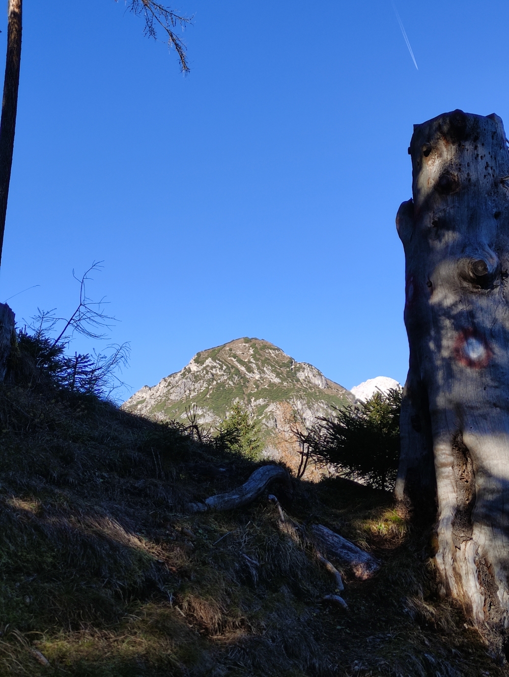 Wanderung Arzeinkopf: Blick auf den Kienberg