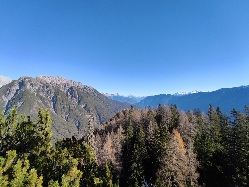 Wanderung Arzeinkopf: Wanderung Arzeinkopf: Blick auf das benachbarte Schafjoch