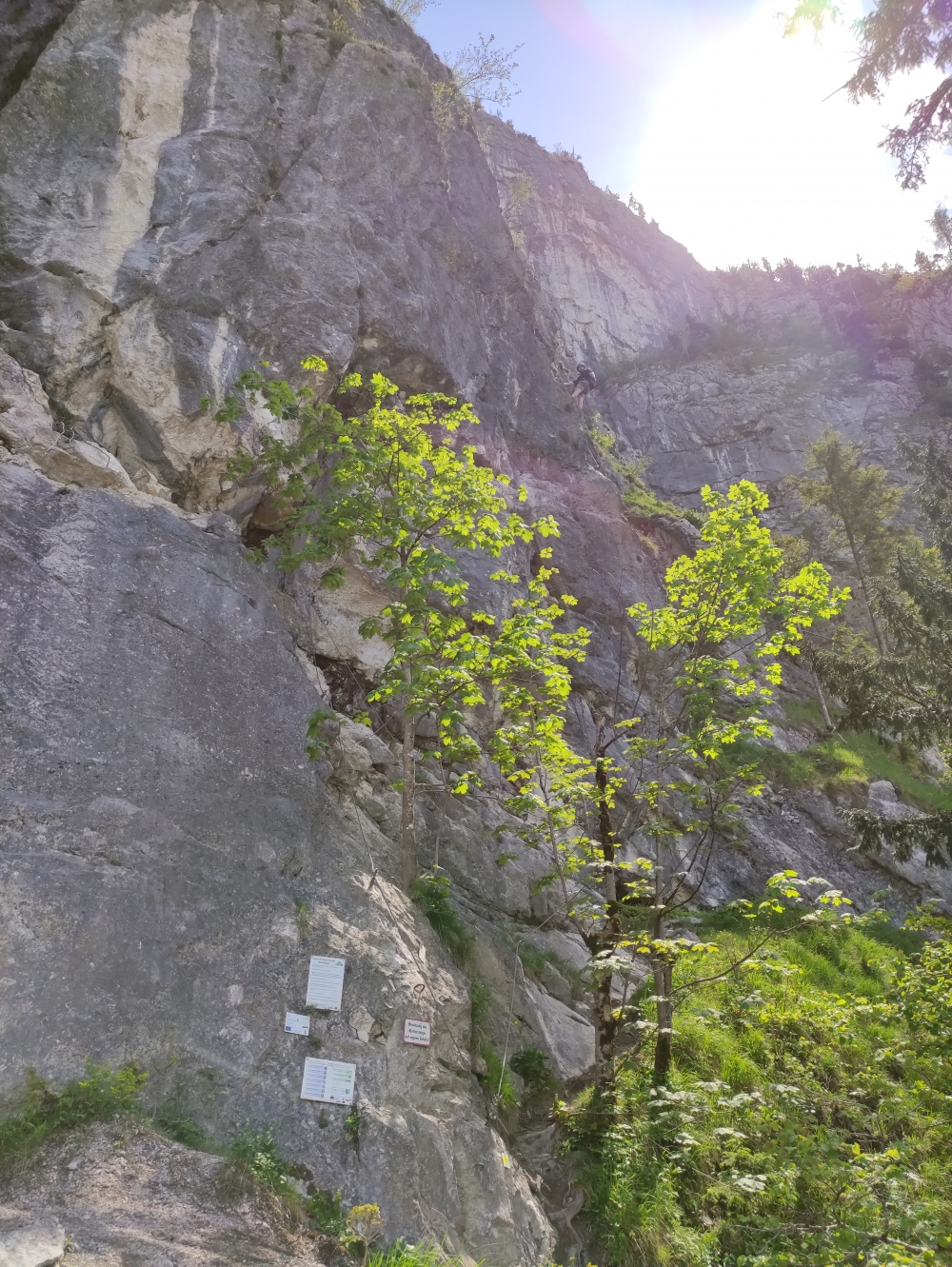 Mahdlgupf Klettersteig zum Hochleckenhaus: Mahdlgupf Klettersteig zum Hochleckenhaus: Der neue Einstieg D/E (Attersee Klettersteig Mahdlgupf)