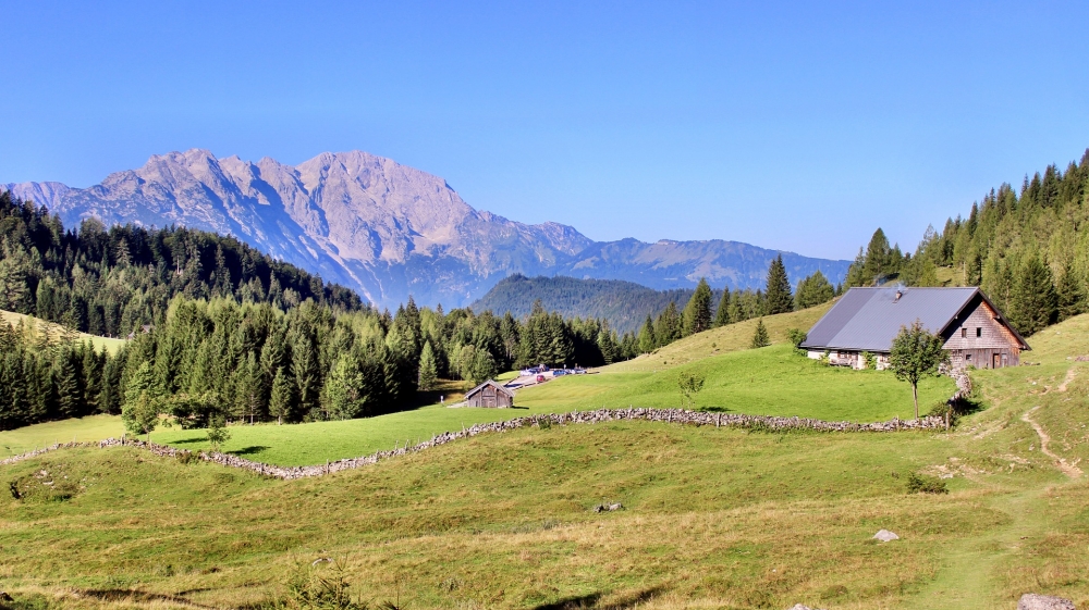 Auerhütte: Auerhütte