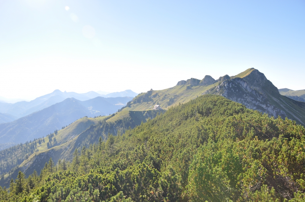 Wanderung Auerspitz: Durch die Latschen zum Gipfel