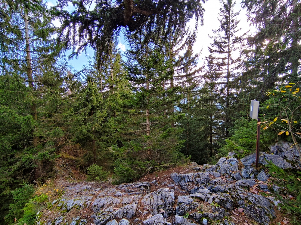 Wanderung Hirschgröhrkopf: Wanderung Hirschgröhrkopf: Gipfelbuch (Auracher Köpferl)