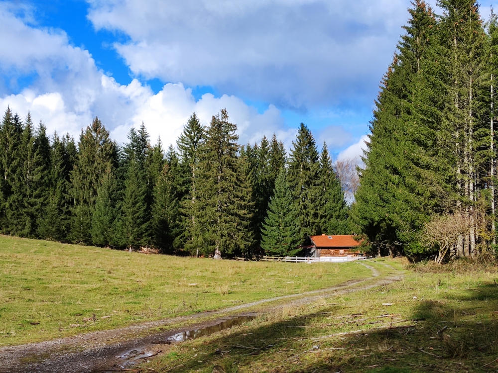 Wanderung Auracher Köpferl: An der Lehenpointalm