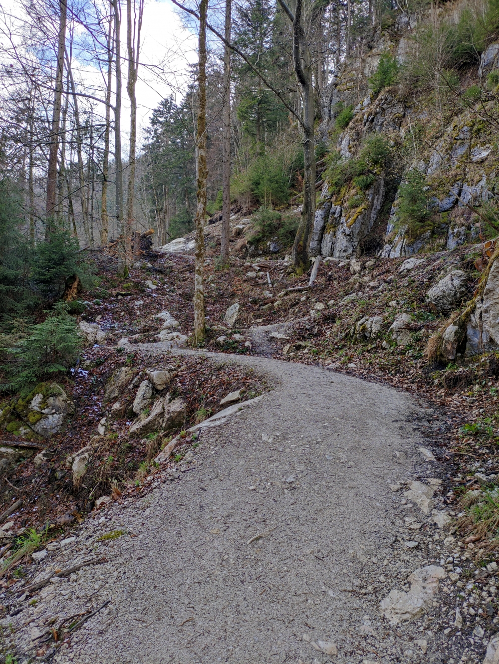 Wanderung Entenlochklamm: Gemütlicher Abstieg zur Hängebrücke
