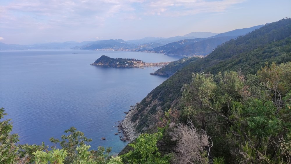Wanderung Torre Saracena Punta Manara: Wanderung Torre Saracena Punta Manara: Blick nach Sestri Levante (Aussichtspunkt 68597)