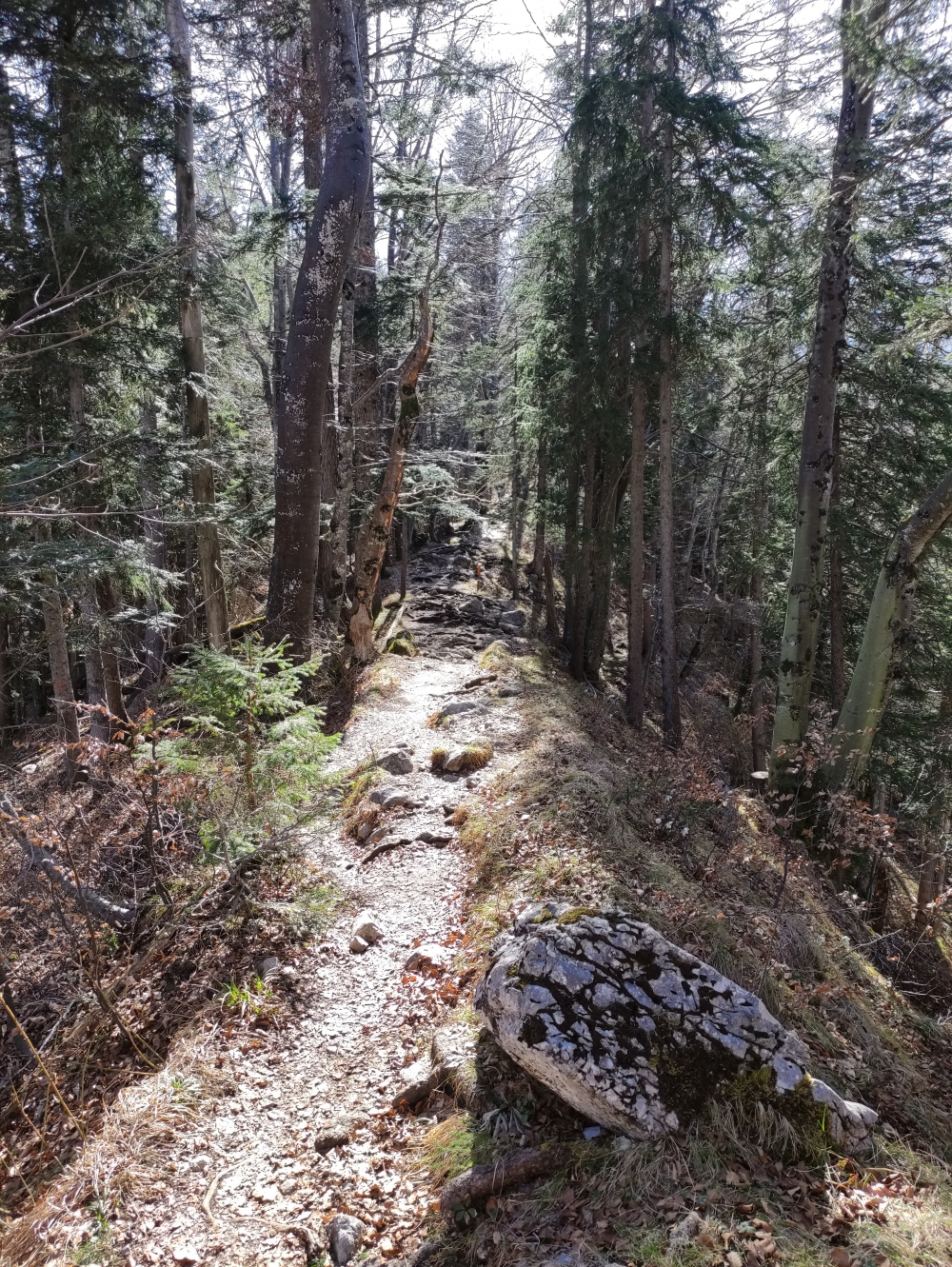Wanderung Archenkanzel: Kammweg